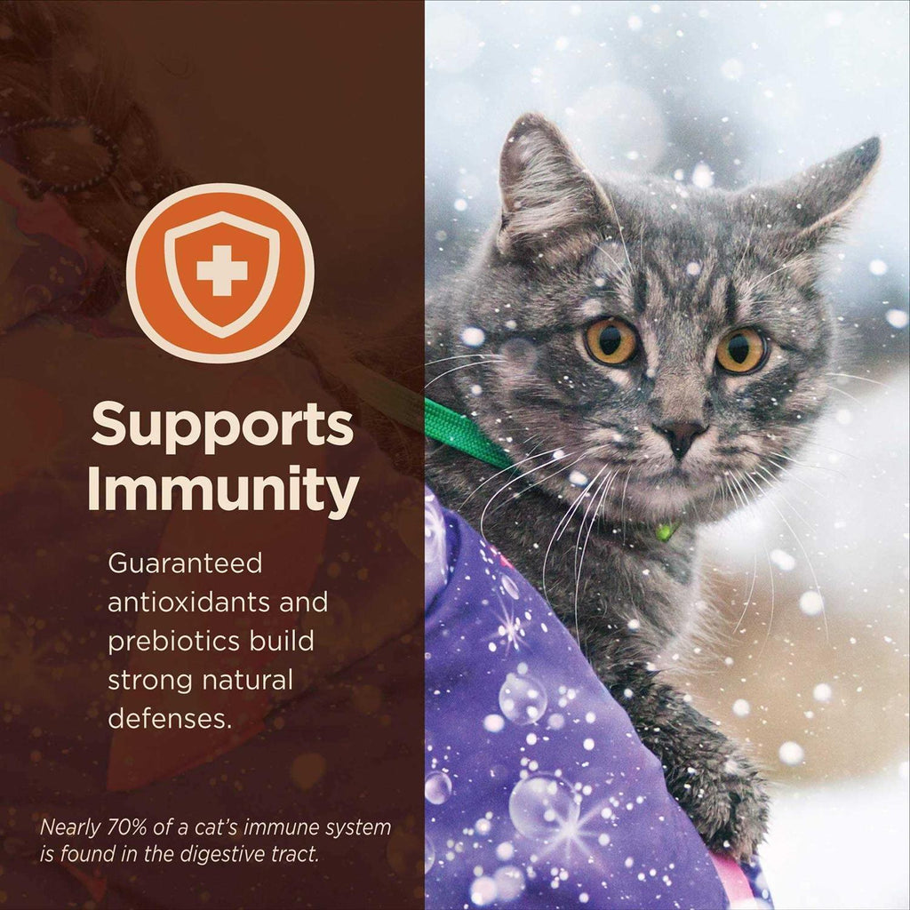 Chicken & Rice Dry Cat Food B636043