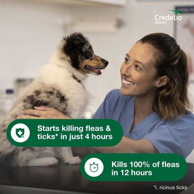 Chewable Tablet for Dogs Q638