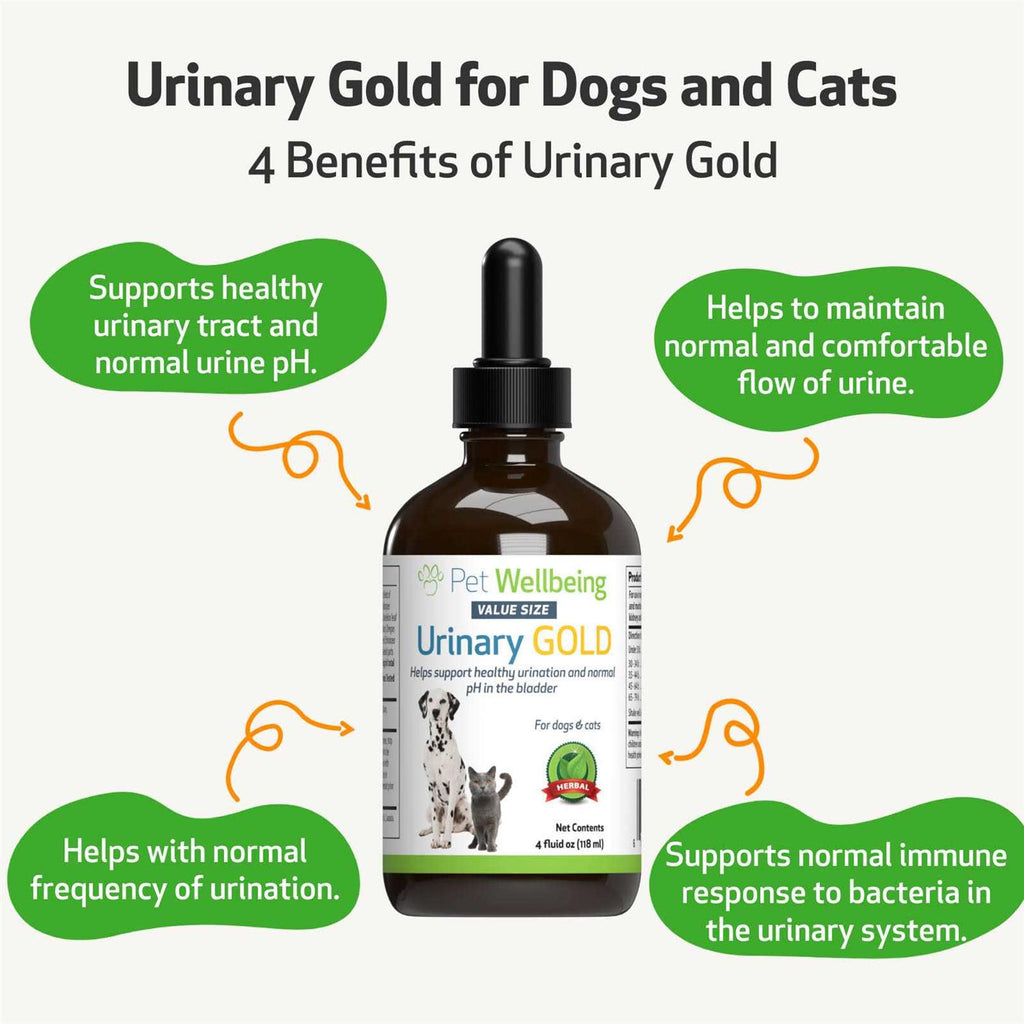 Urinary Tract Health V85483