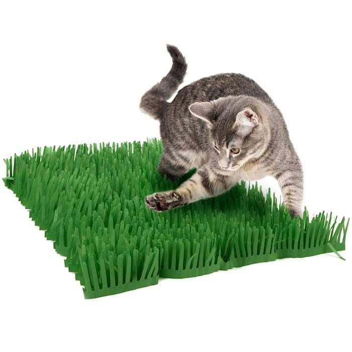 Cat Toy F151940