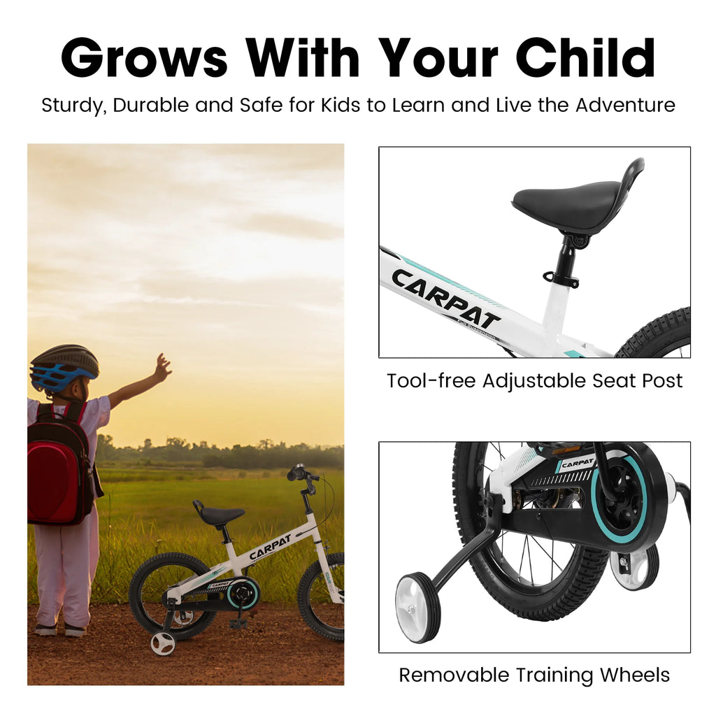 14 Inch Boys Bike with Training Wheels J6895