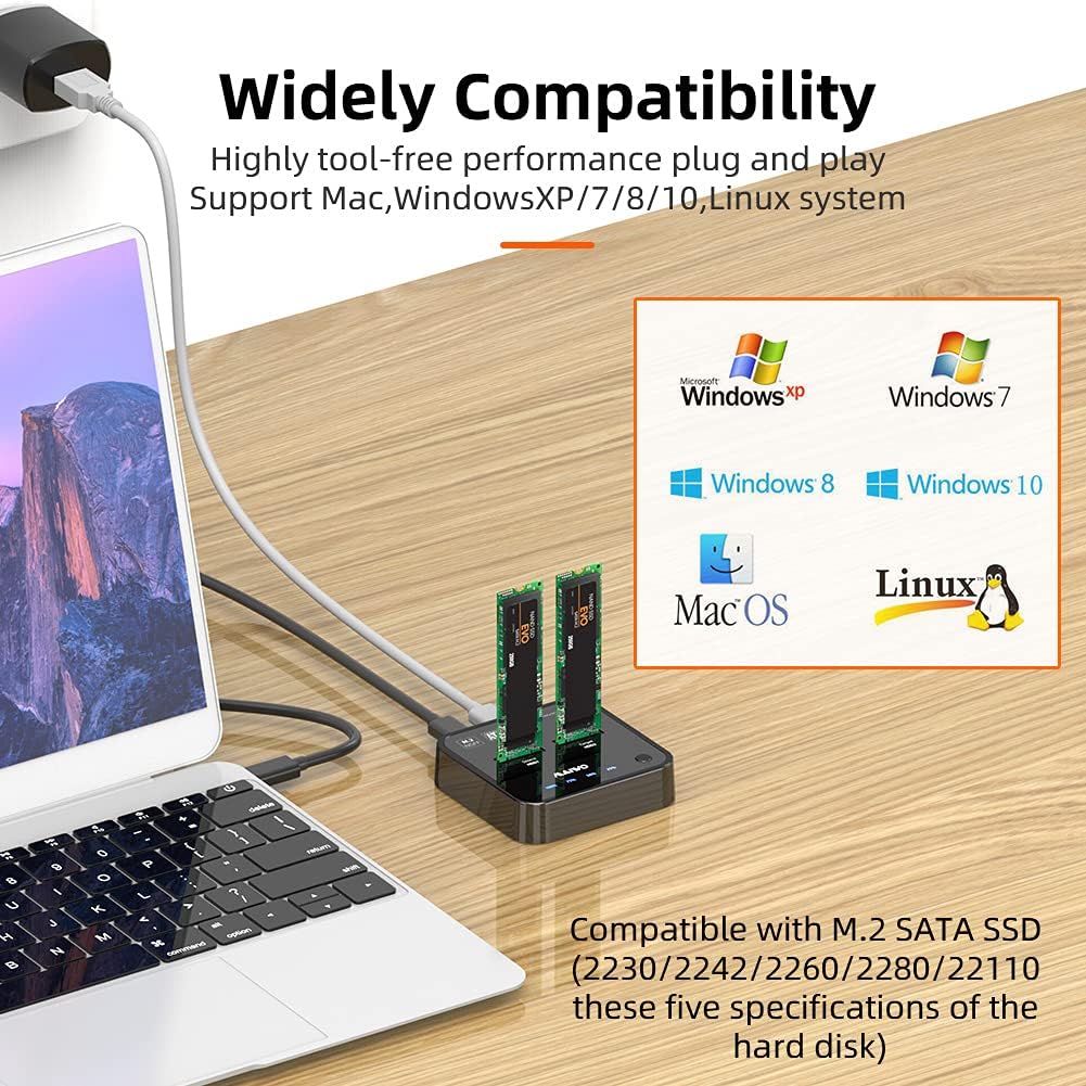 2 Bay m.2 SATA Docking Station P4832