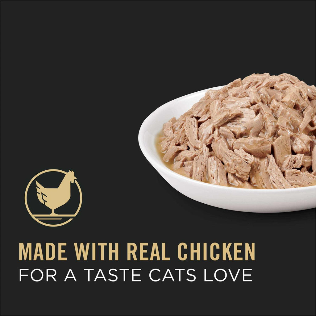 Chicken Entree in Gravy Canned Cat Food Y873697