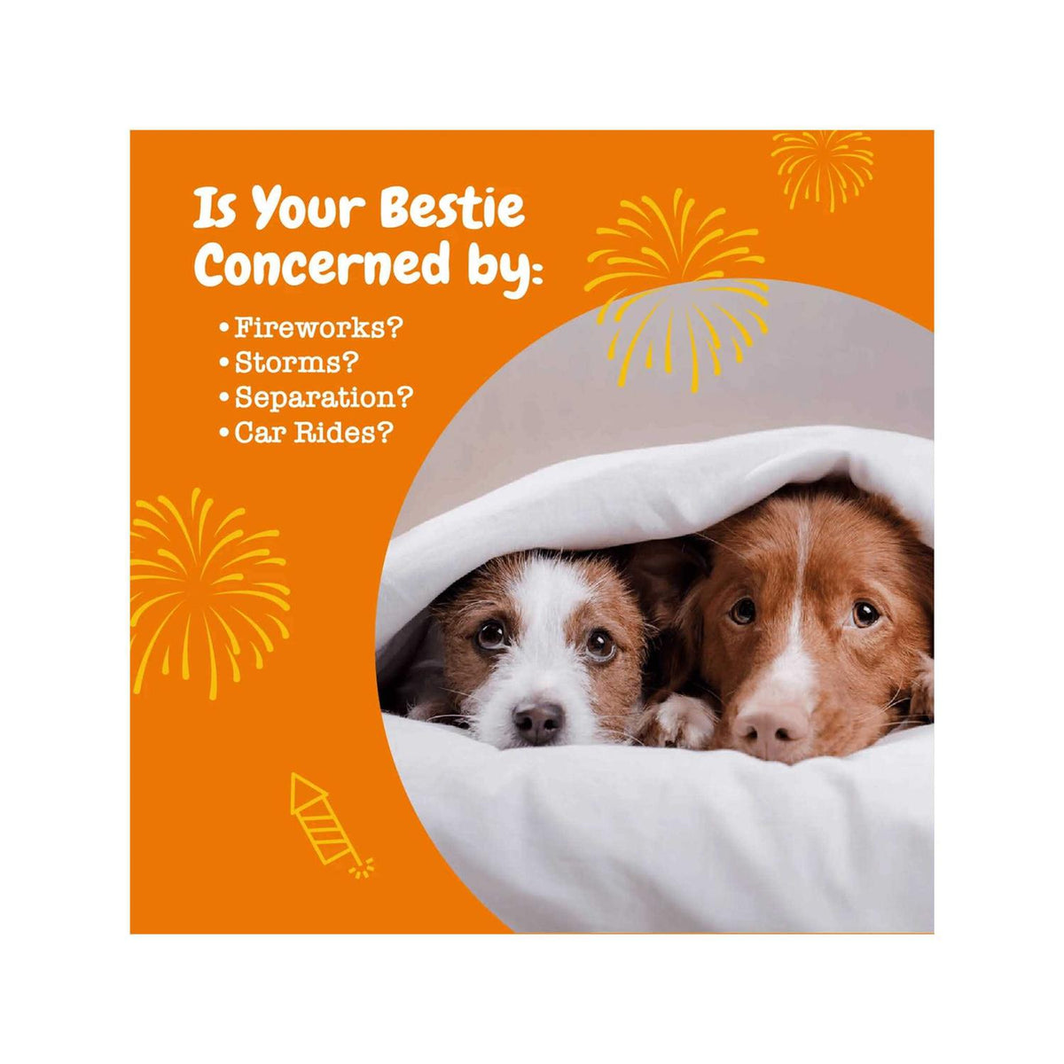 Calming Bites Soft Chews for Dogs E34021