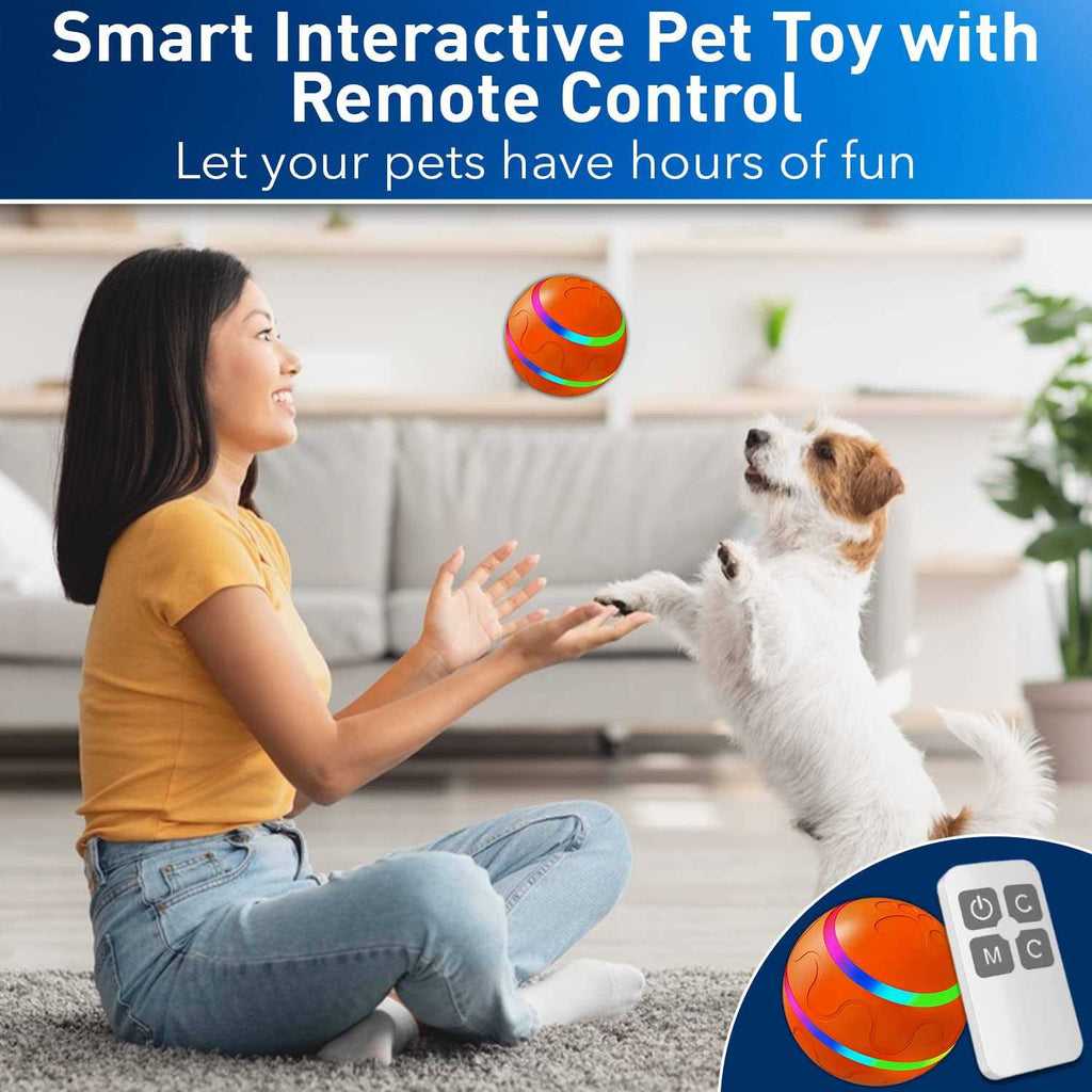 Interactive Dog Toy Ball with Remote Control Z9171
