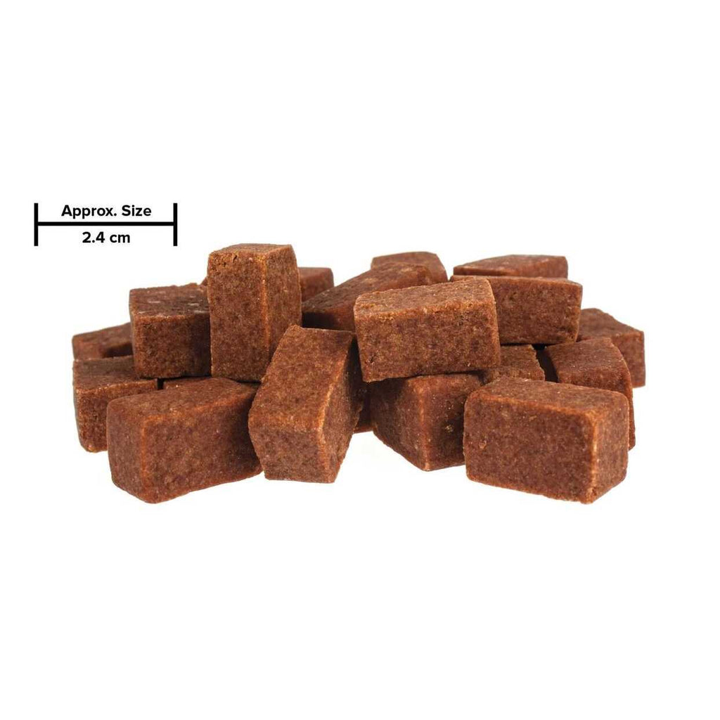 Canine Iron Supplement for Dogs A925