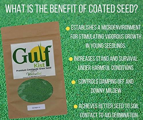 Centipede Grass Seed 1 lb Coated Seeds F435075
