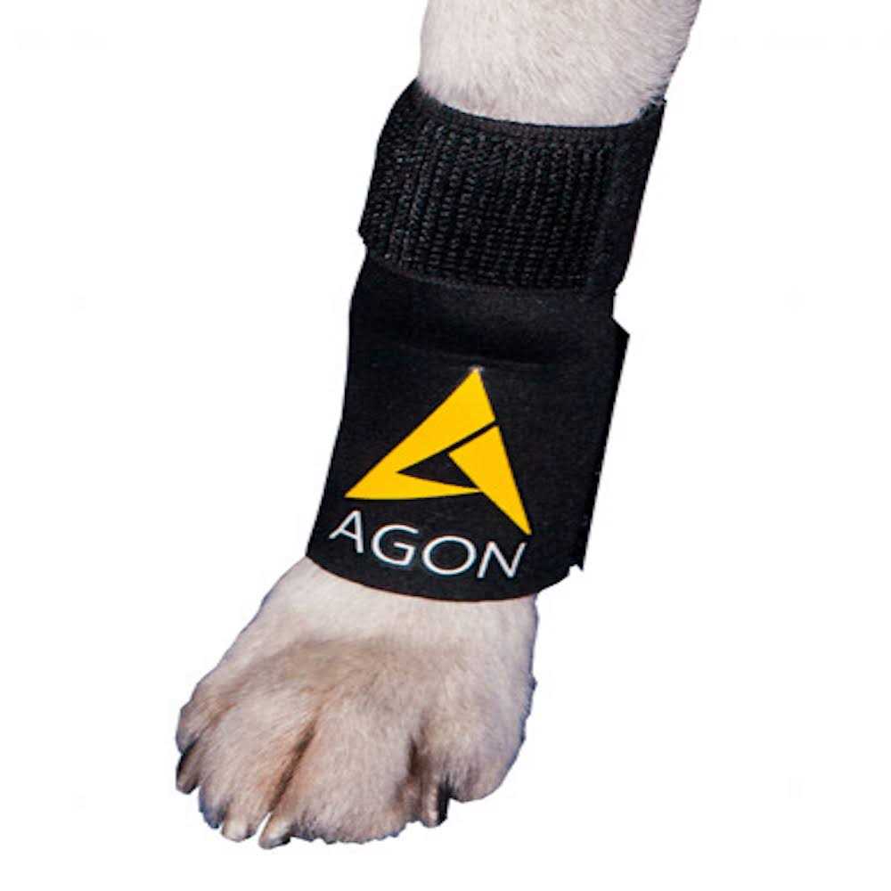 Dog Front Leg Brace Paw Compression Wraps A964229