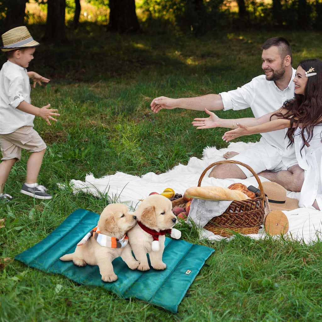 Portable Waterproof Roll Up Dog Mat Bed O398924