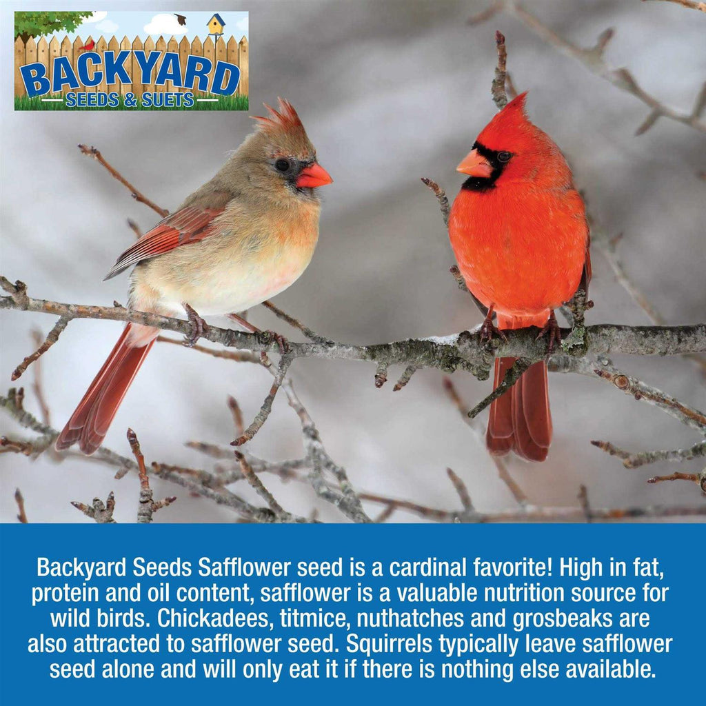Safflower Bird Seed K43965