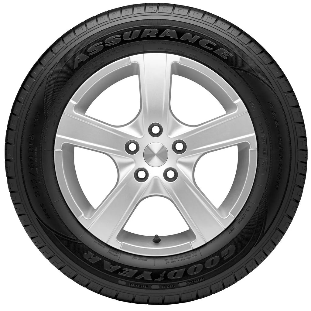 225/55R16 95H All-Season Passenger Tire M815