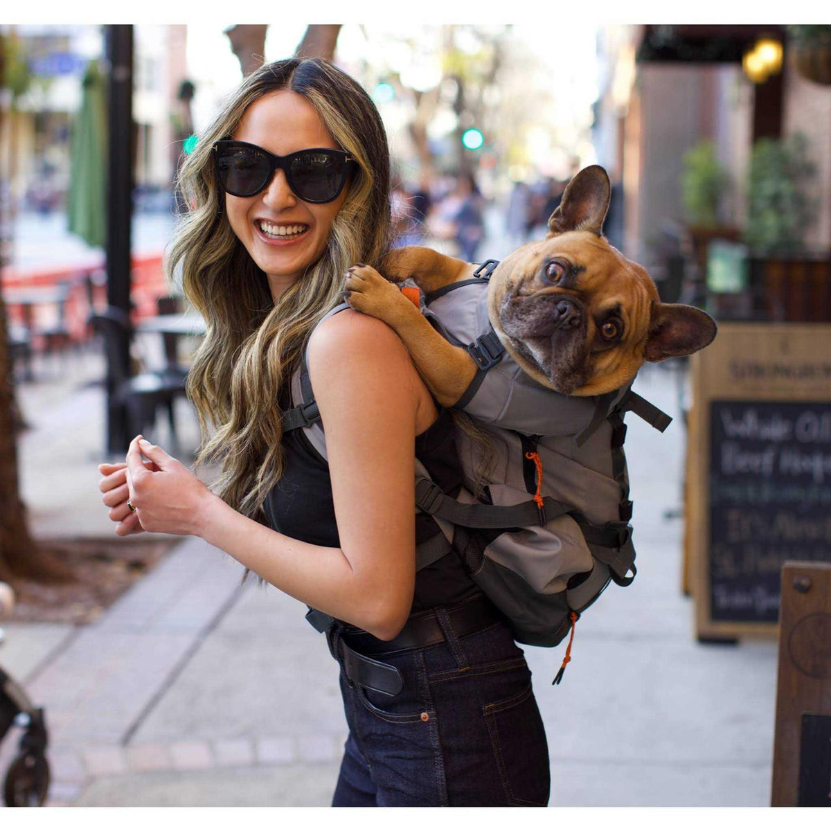Dog Carrier U969