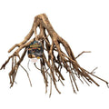 Mangrove Root Z339