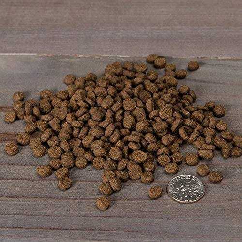 Grain Free Chicken & Cod Dry Cat & Kitten Food K9757