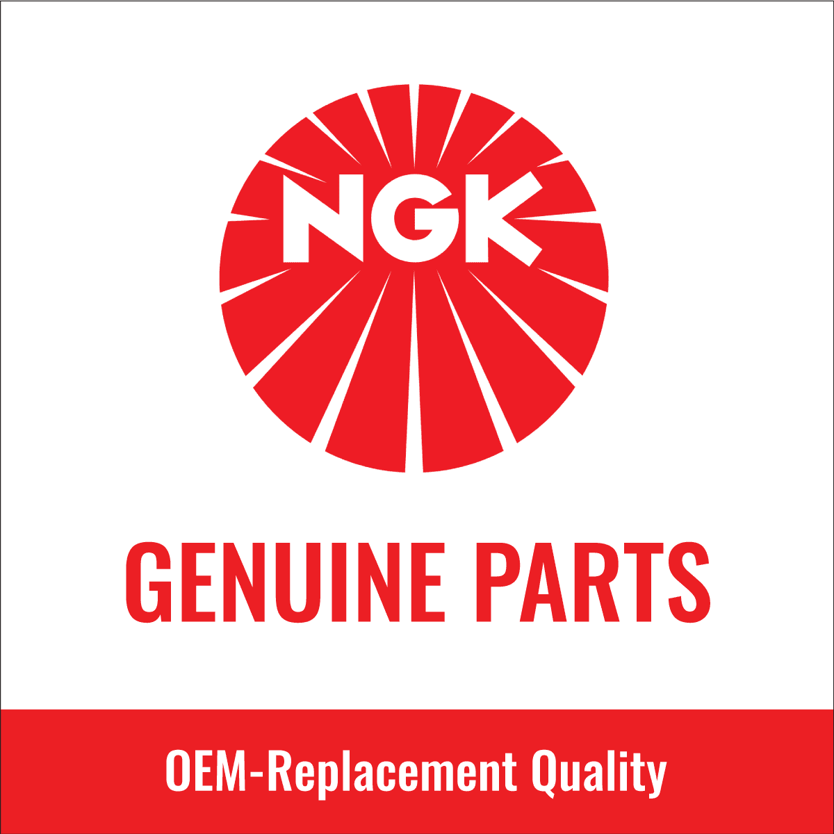 4 pc Iridium Spark Plugs N803080