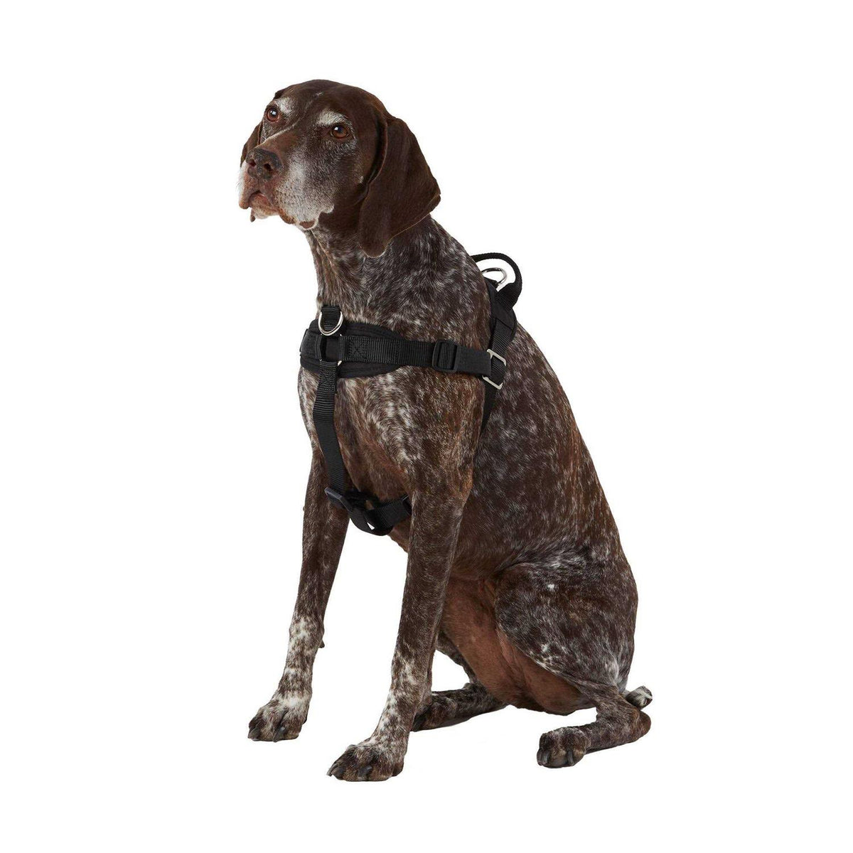 No Pull Dog Harness A485