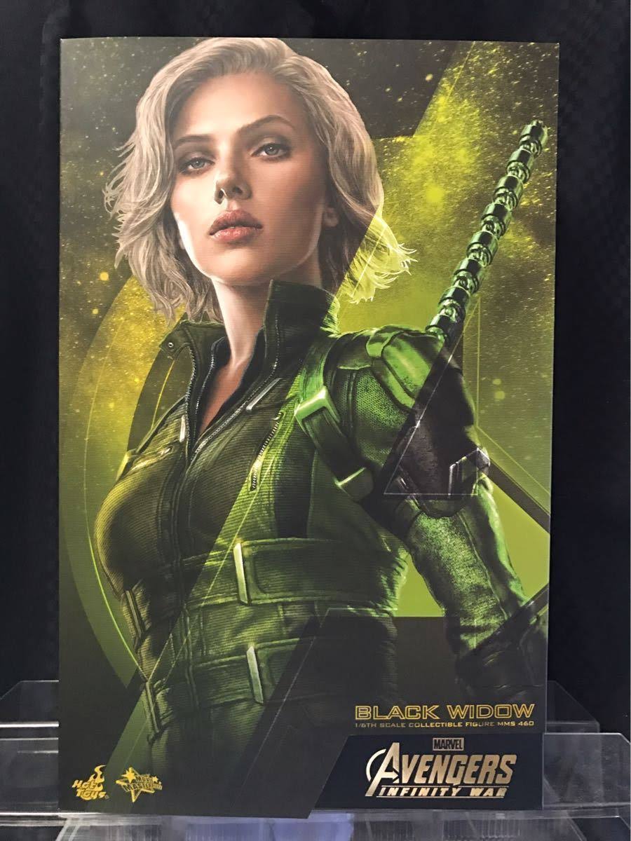 1/6 Scale Figure W544