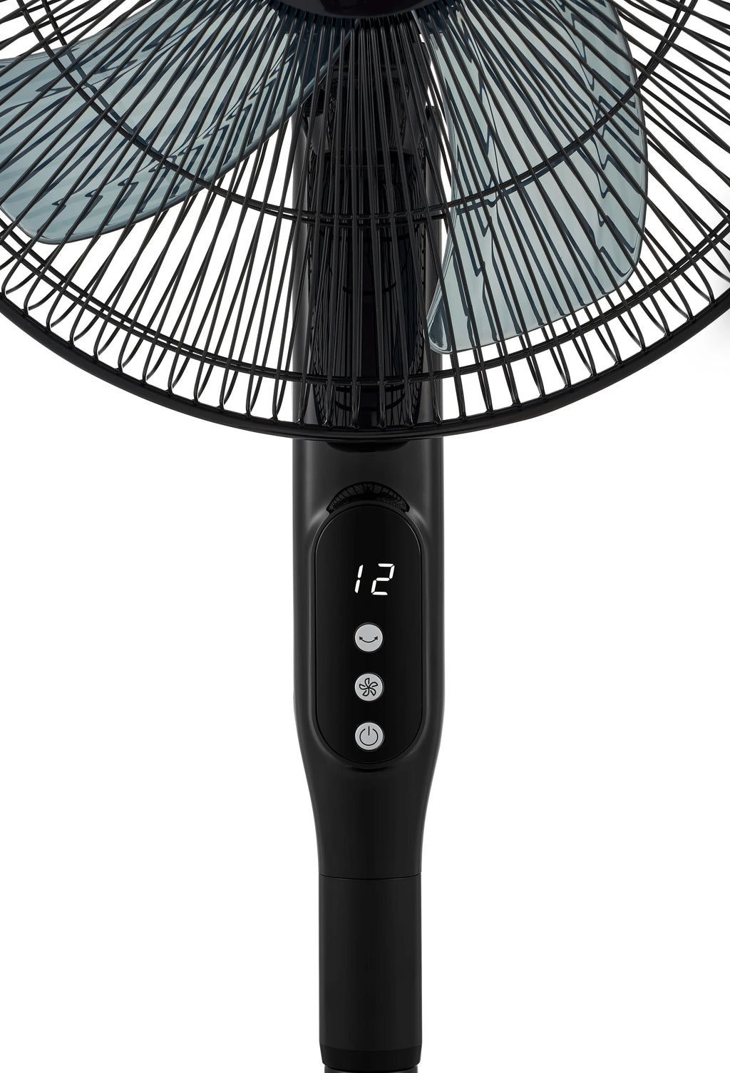 Black 12-Speed Pedestal Fan with Remote Y240