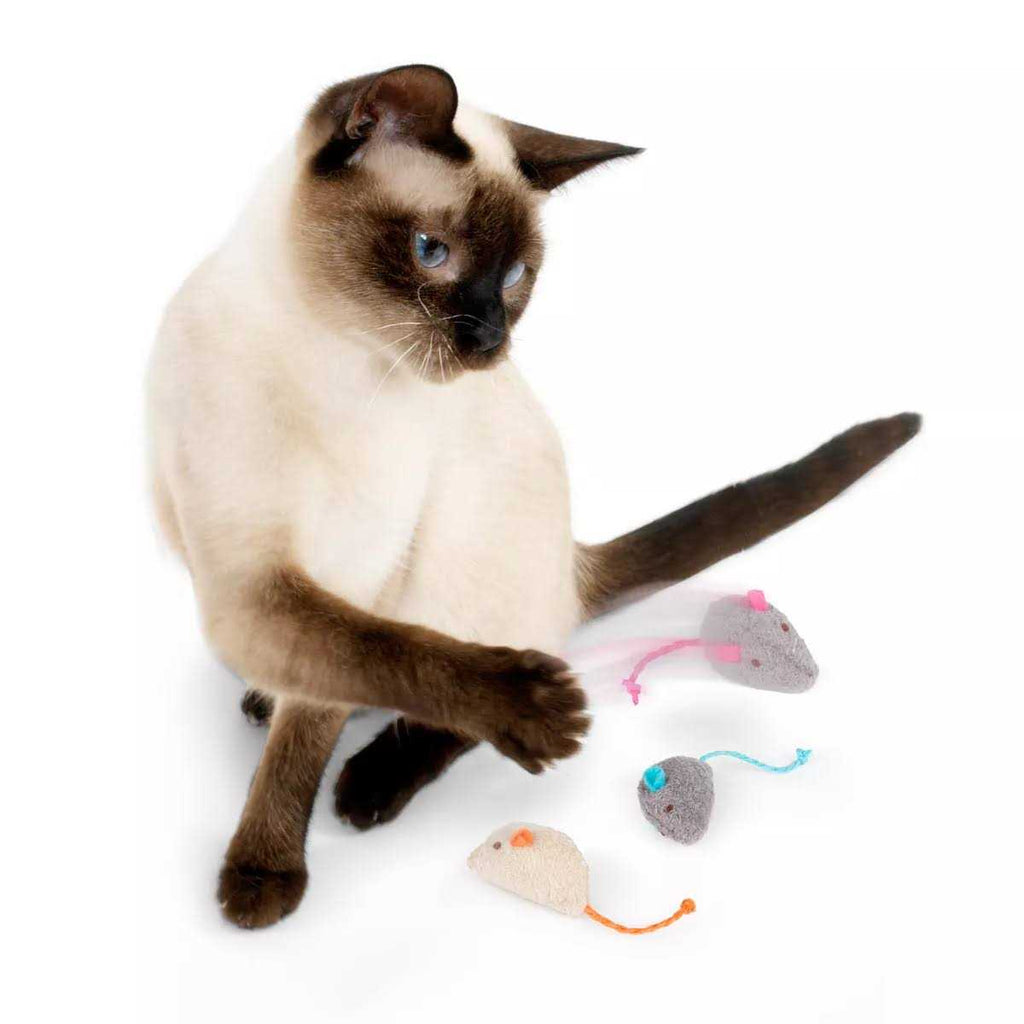 Catnip Toys K86201