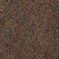 Black Tan Multi 24 in. x 24 in. Modular Carpet Tile Kit C69109