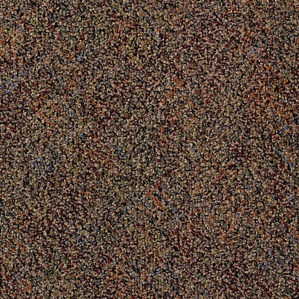 Black Tan Multi 24 in. x 24 in. Modular Carpet Tile Kit C69109