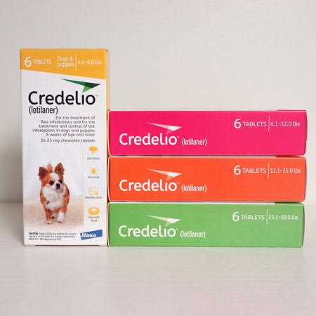 Chewable Tablet for Dogs Q638