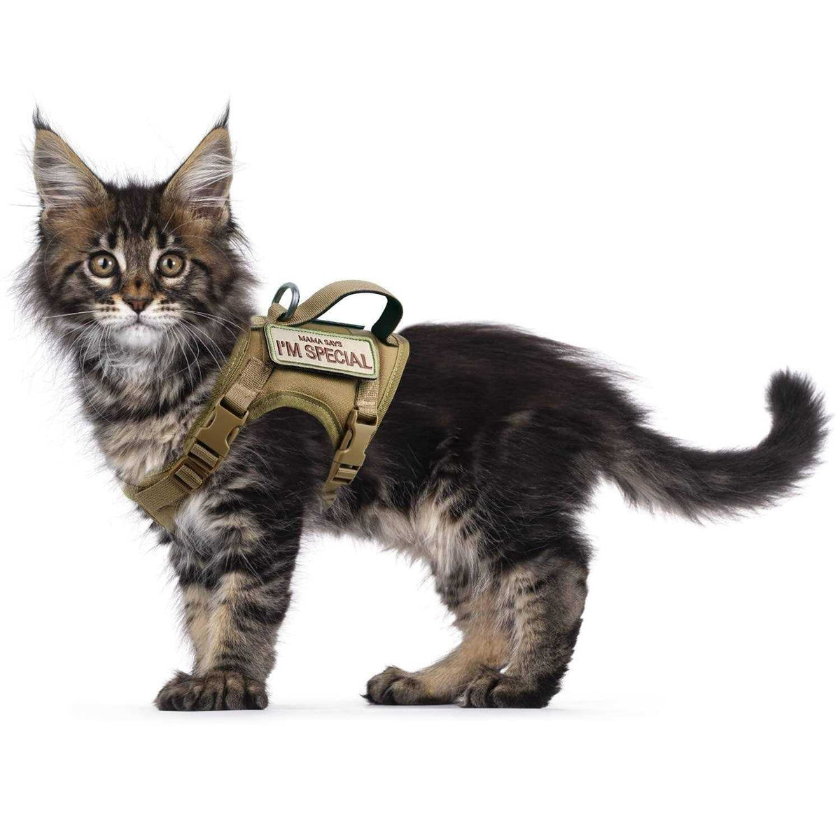Tactical Cat Harness Soft Mesh Adjustable Pet Vest Harness F617