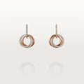 Earrings T810
