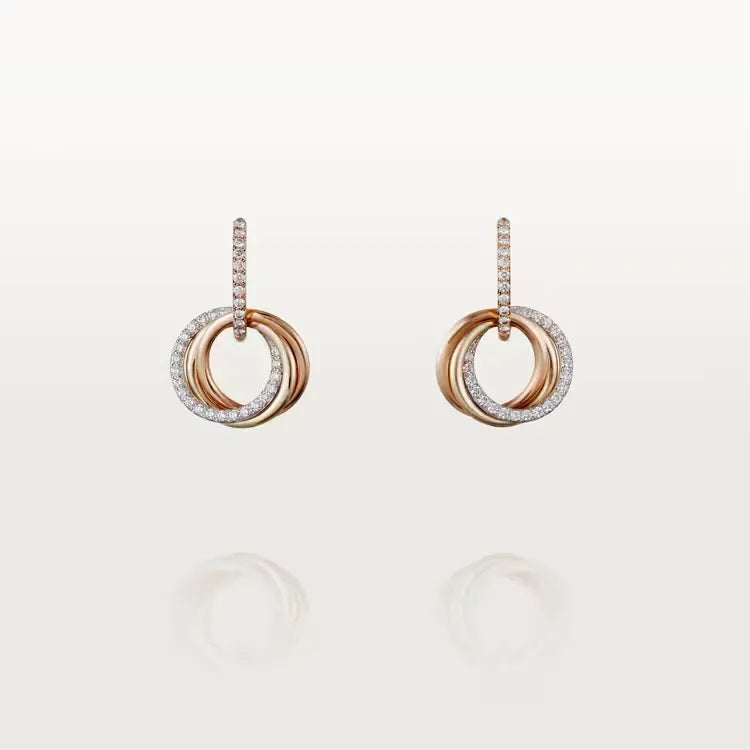 Earrings T810