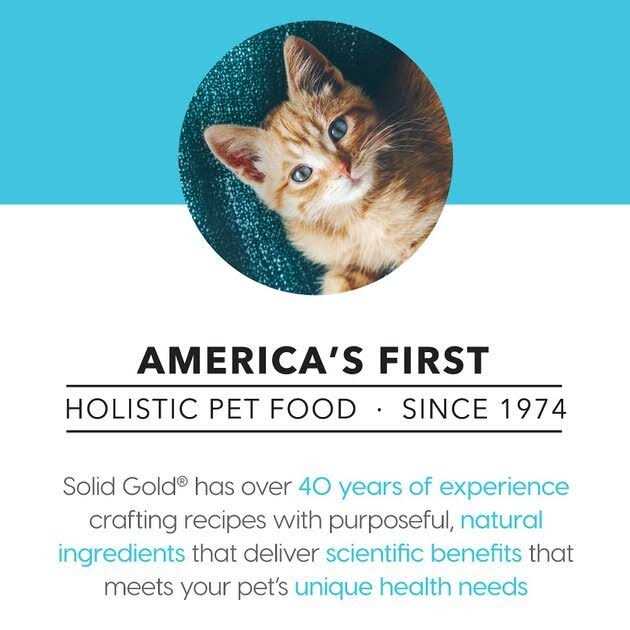Solid Gold Canned Cat Food Five Oceans Tuna Recipe in Gravy Z231