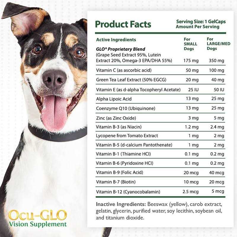 Vision Supplement for Small Dogs B459021