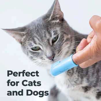 Blue Pet Finger Brush I765