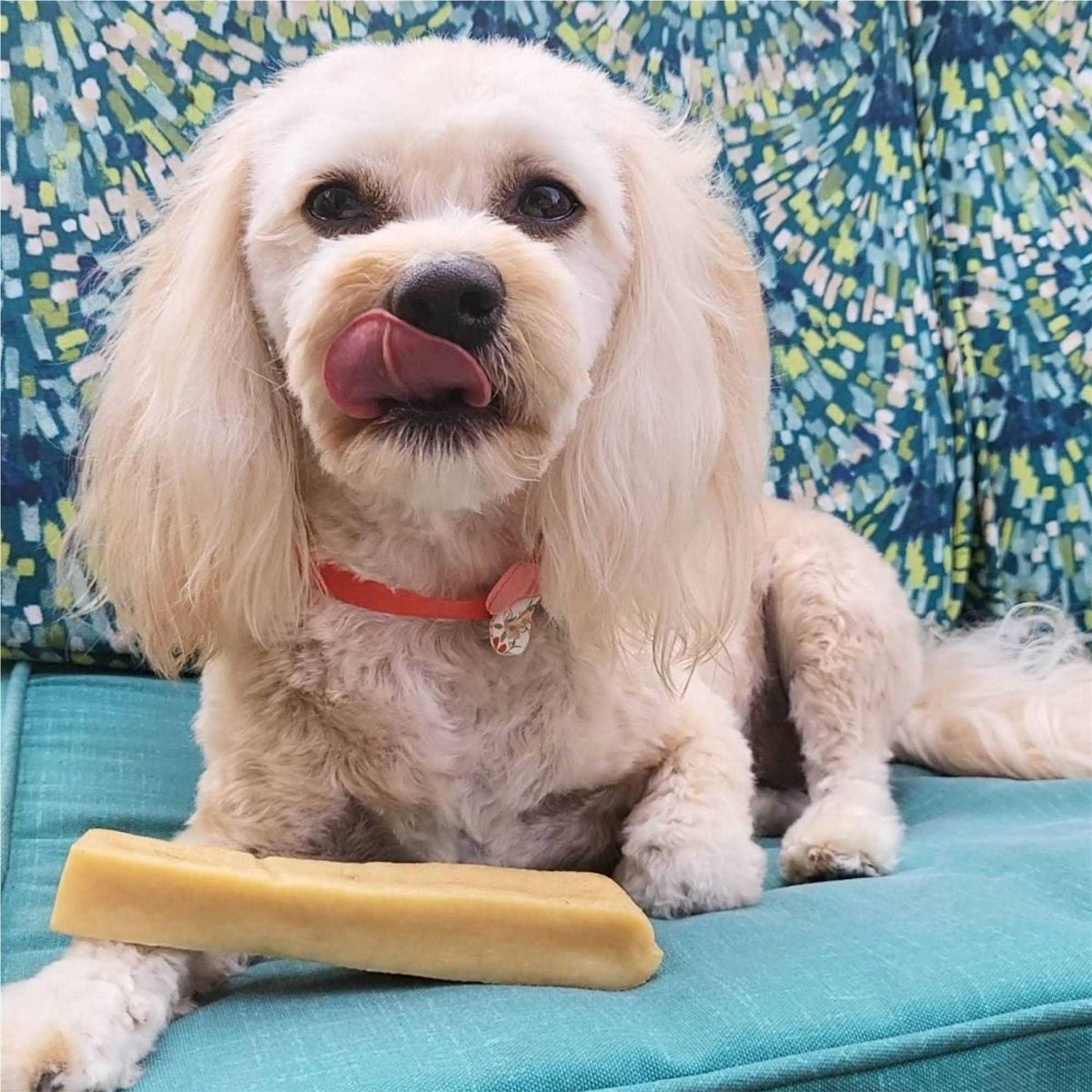 Dog Chew Y560