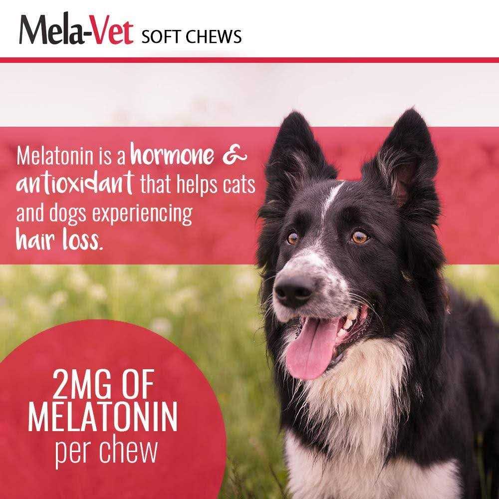 Melatonin Soft Chews for Dogs & Cats K8200