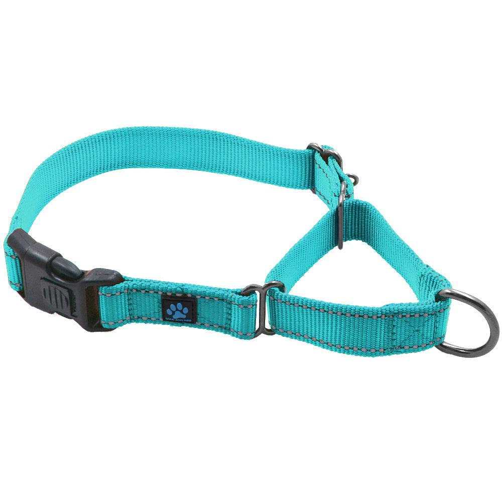 Nylon Martingale Collar I34815