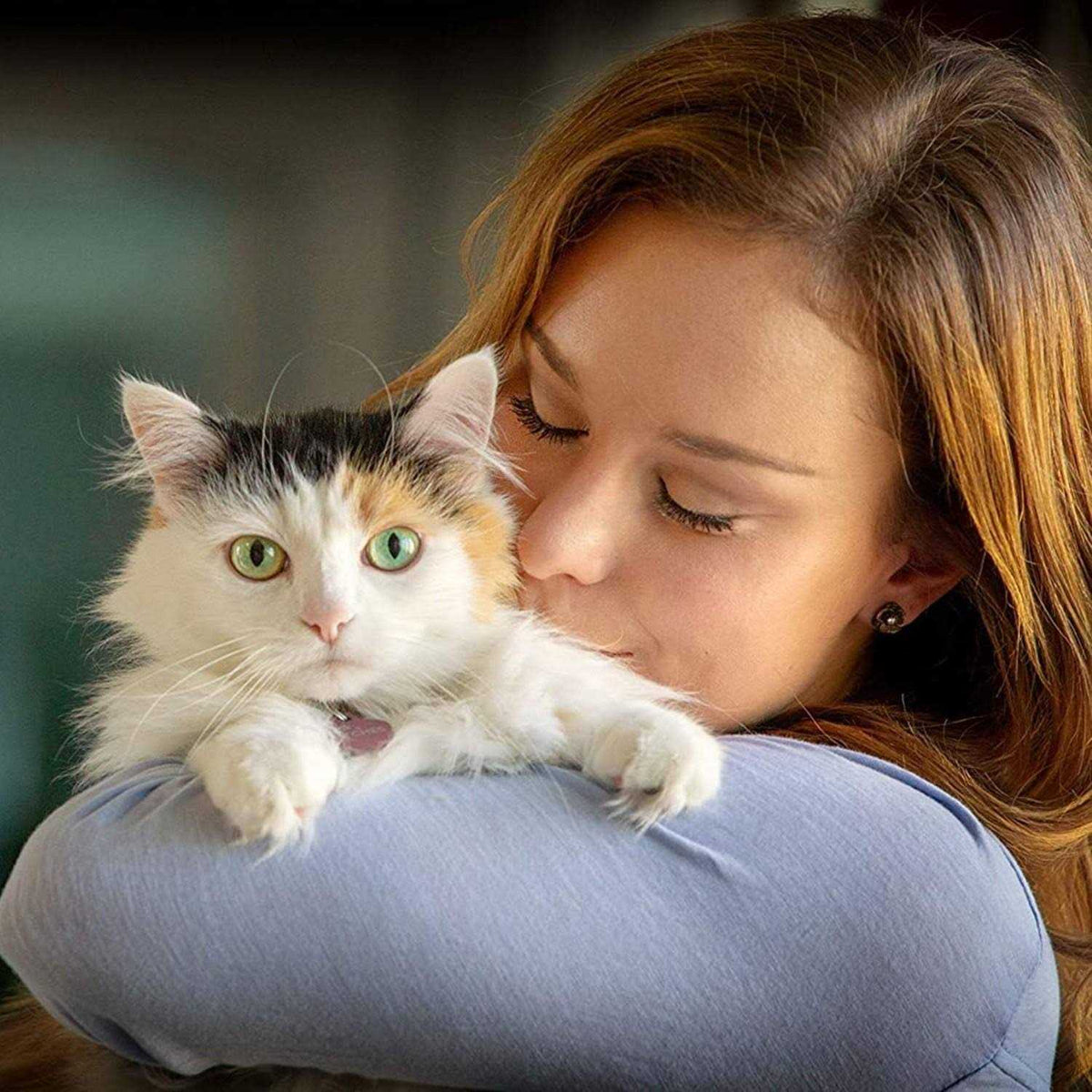 Respiratory and Ocular Support Soft Chews for Cats P2816