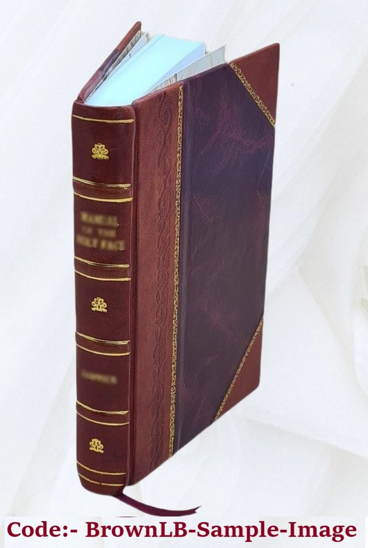 The story of France from Julius Caesar to Napoleon III K979763