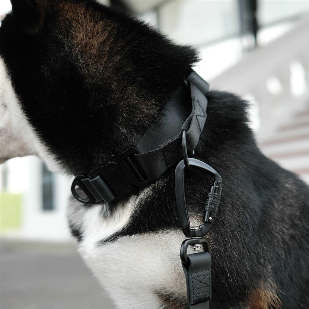 Waterproof Martingale Collar O9643