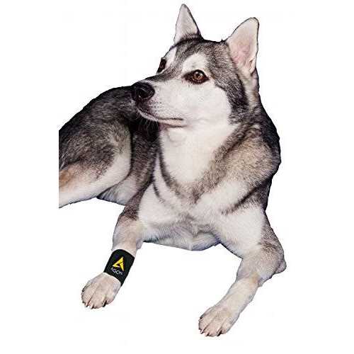 Dog Front Leg Brace Paw Compression Wraps A964229