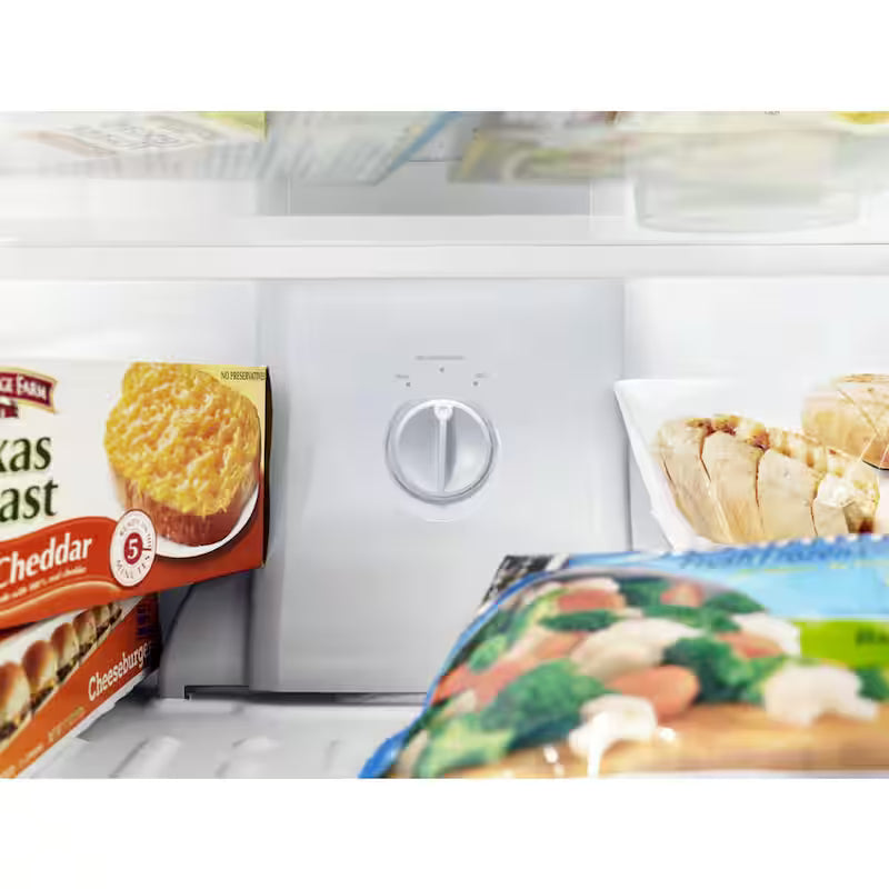 20.5 cu. ft. Top Freezer Refrigerator in Stainless Steel P5004