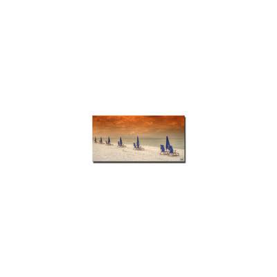 Photographic Print on Canvas F566160