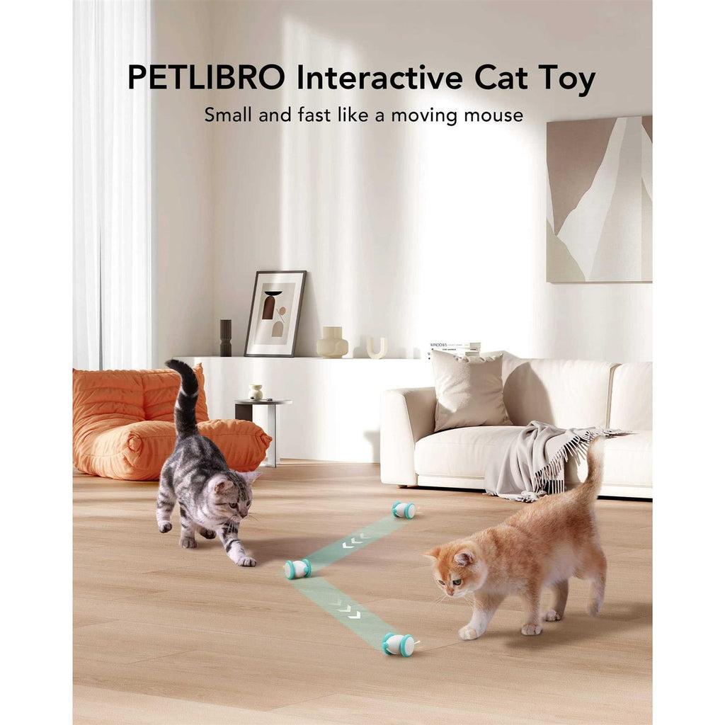 Interactive Cat Toys with LED Lights D9998