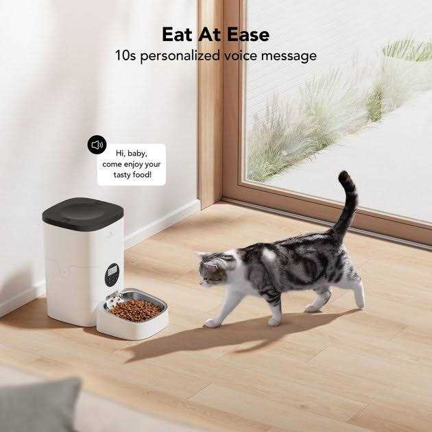 Automatic Dog & Cat Feeder B401603