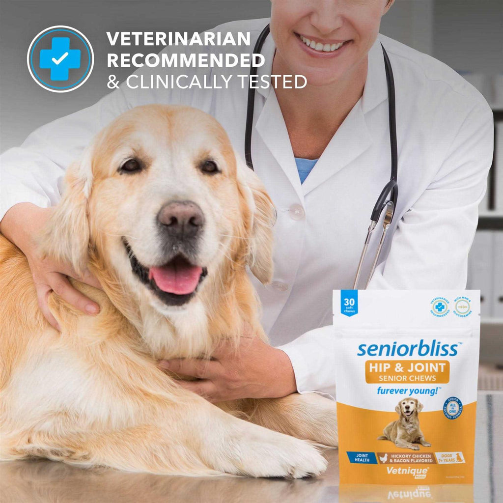 Supplement for Senior Dogs B95082