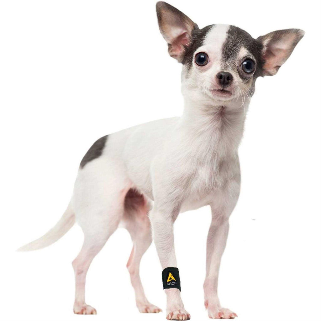 Dog Front Leg Brace Paw Compression Wraps A964229