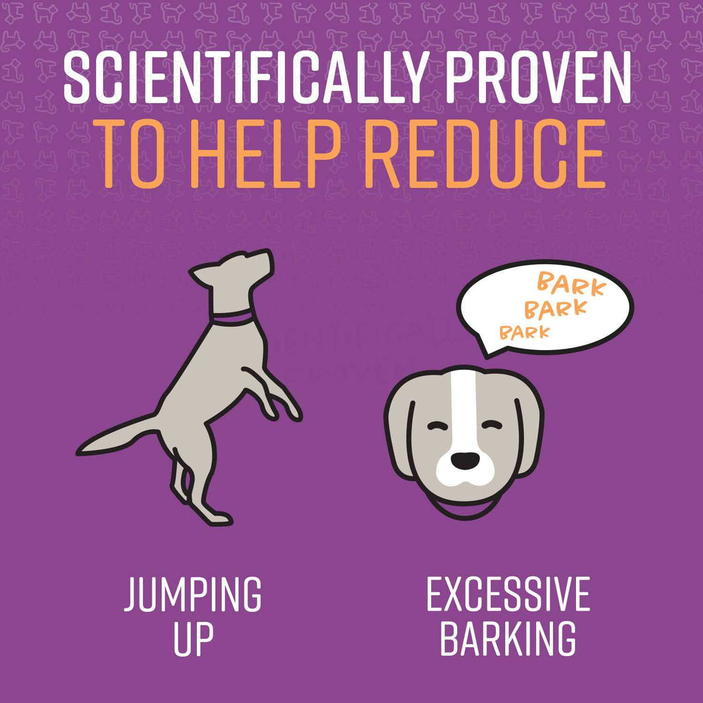 Behavior Correction Spray for Dogs Z766432