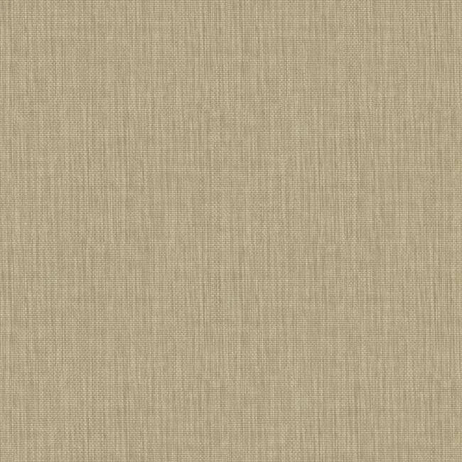 Light Brown Wallpaper I539379