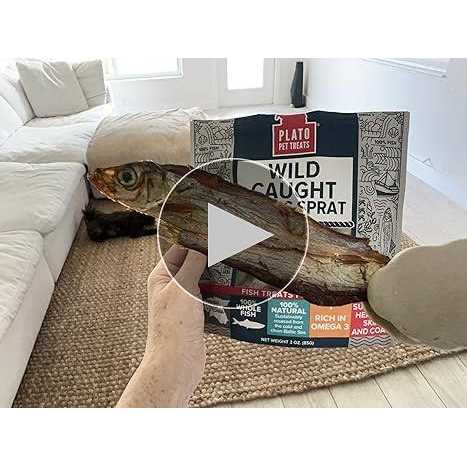 Baltic Herring Dog W3290