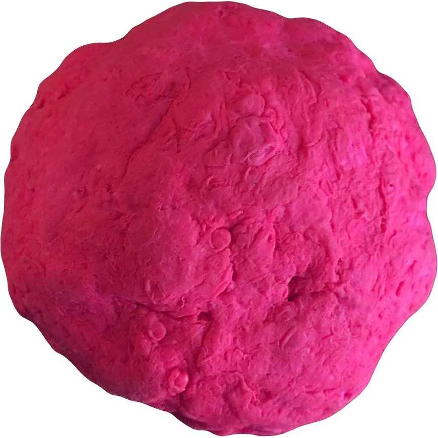 Fetch Dog Toy K96670