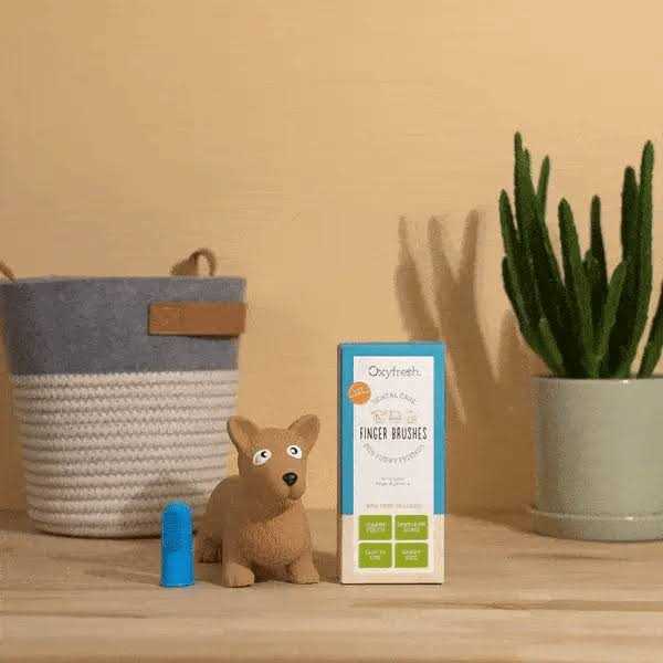 Blue Pet Finger Brush I765
